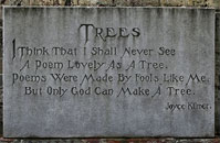 Trees - Poem by Joyce Kilmer