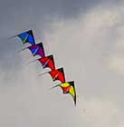 Kite flying at Myrtle Beach State Park 