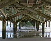 Myrtle Beach State Park under the pier