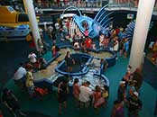 Inside Ripley's Aquarium